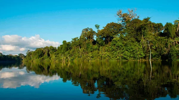 Amazonia Puerto Maldonado