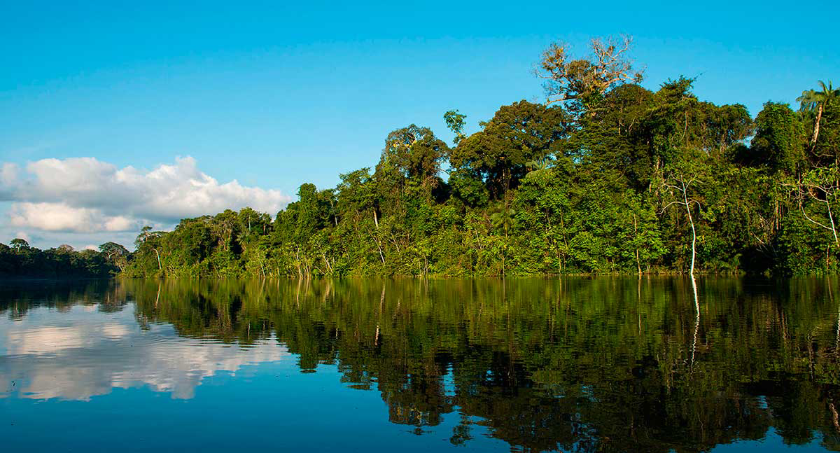 Amazonia Puerto Maldonado