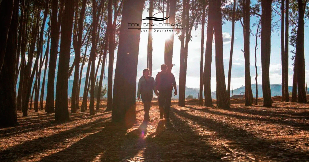 20 mejores tours de medio día desde Cusco: Descubre la magia en unas pocas horas 3 Bosque de Qenqo, fotos aesthetic en Cusco