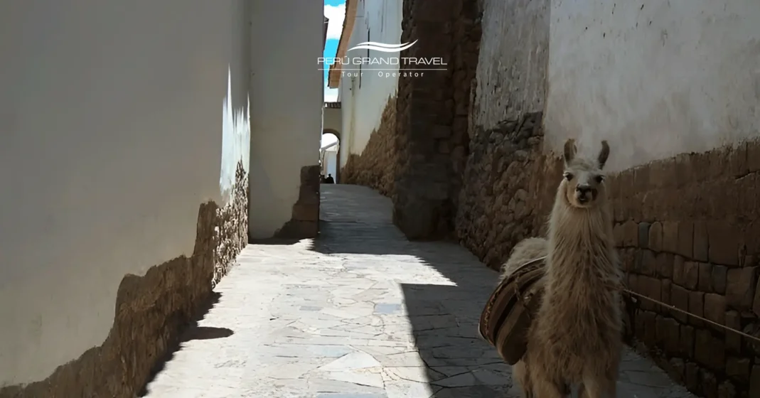 7 Secretos Mágicos: Explorando las Siete Calles de Cusco en el Corazón de los Andes 1 Calle-Siete-Culebras