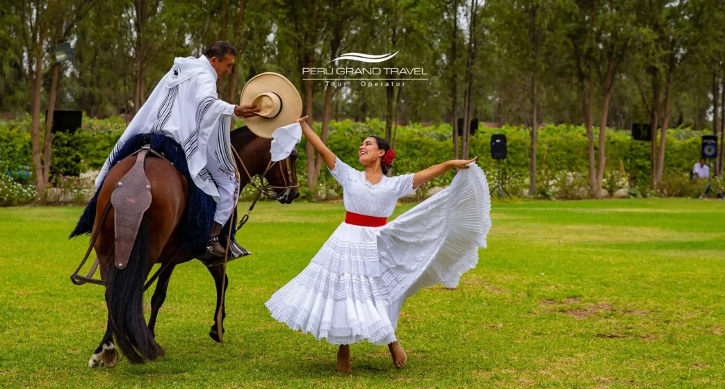 Danza de Marinera con chalán y Caballo Peruano de Paso en un show cultural al aire libre, mostrando tradición y elegancia peruana