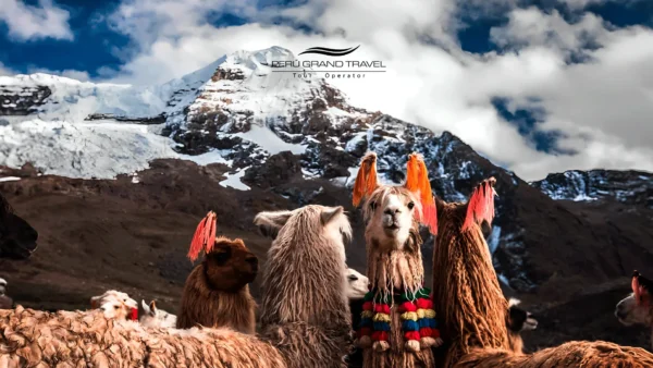 Hay nieve en Peru