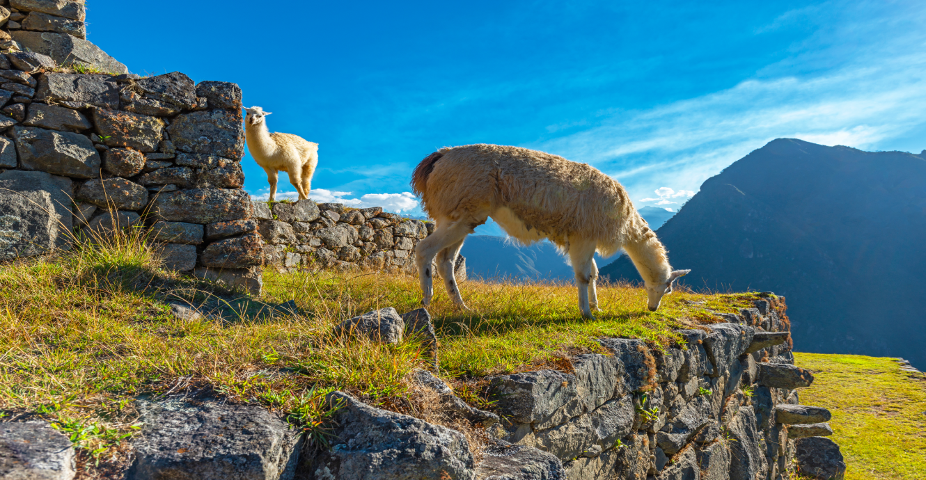 Machu Picchu LLaqta