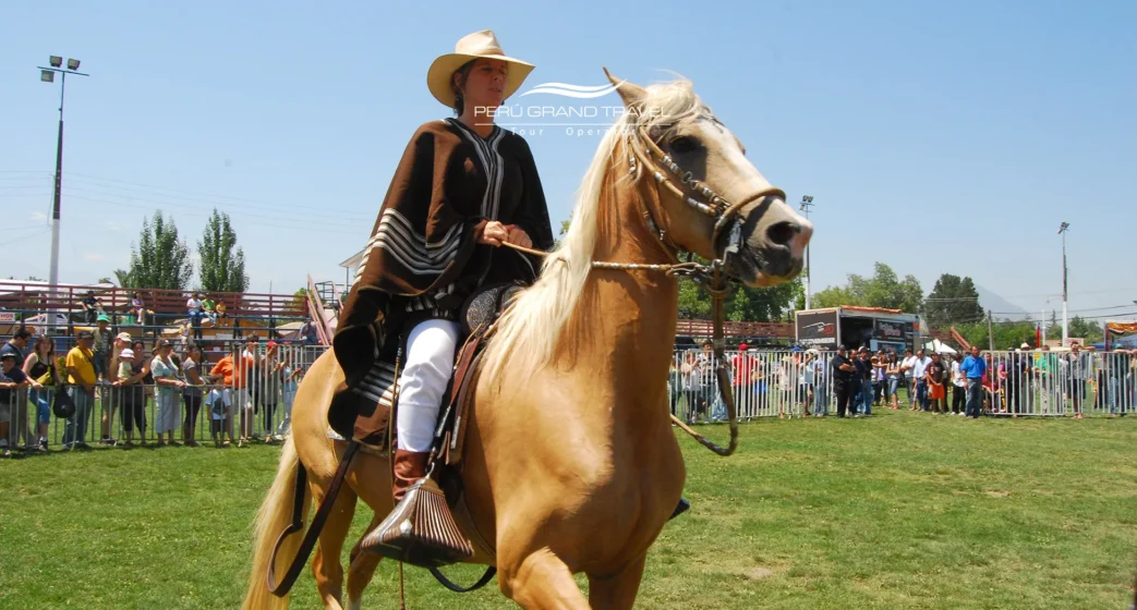 Mujer chalán montando un Caballo Peruano de Paso durante un festival, mostrando su andar elegante en una exhibición al aire libre
