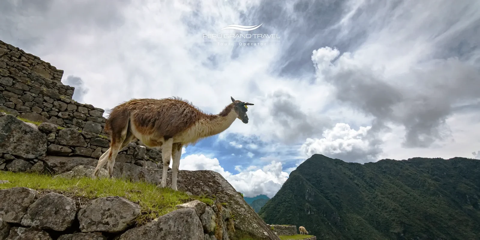 Perú-en-mayo
