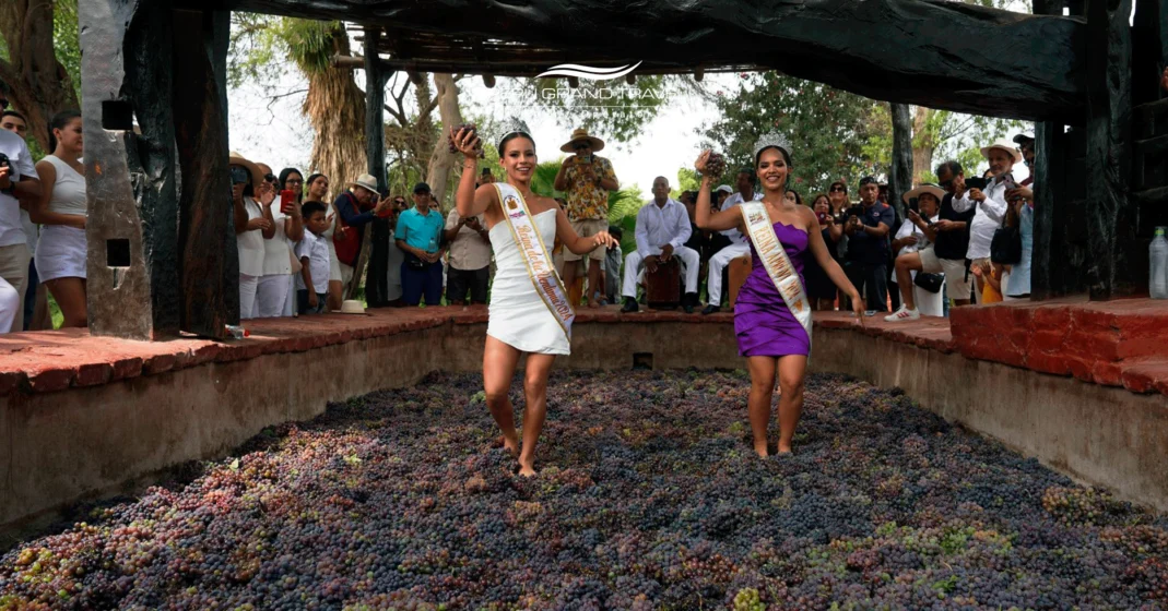 Pisada de Uvas tradicional en Ica, Perú