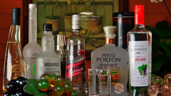 Portada, donde comprar pisco peruano, pisco peruano, bebida nacional, pisco, marcas de pisco