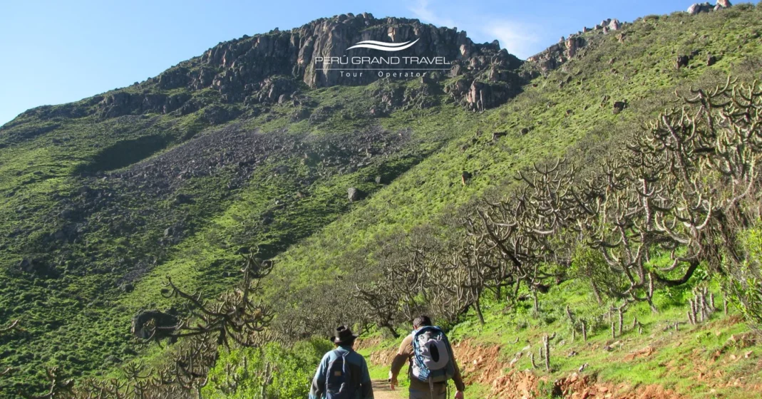 Rutas de Trekking en Peru - Marcahuasi