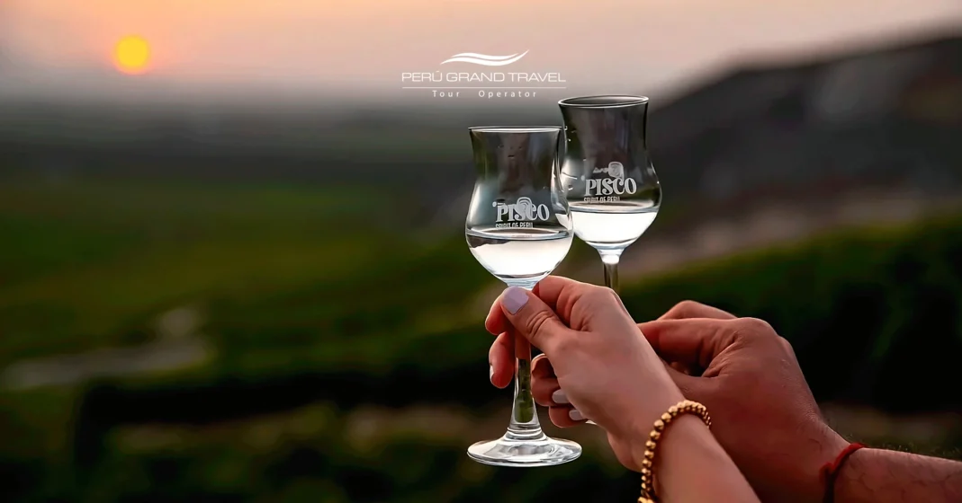 brindis con pisco puro, pisco destilado, pisco peruano, disfrutando del pisco, vendimia