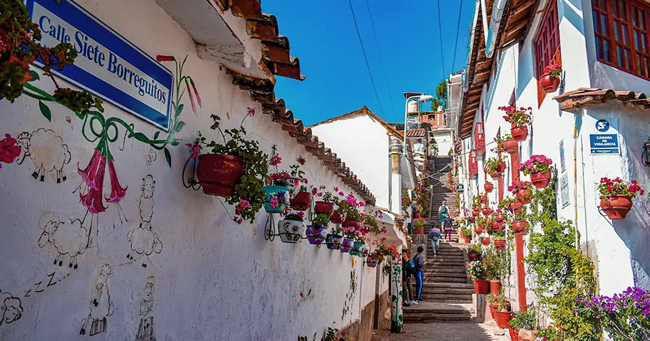 Calle siete borreguitos en cusco, con una vista de bastantes maceteros con plantas coloridas y escaleras de fondo con personas subiendo