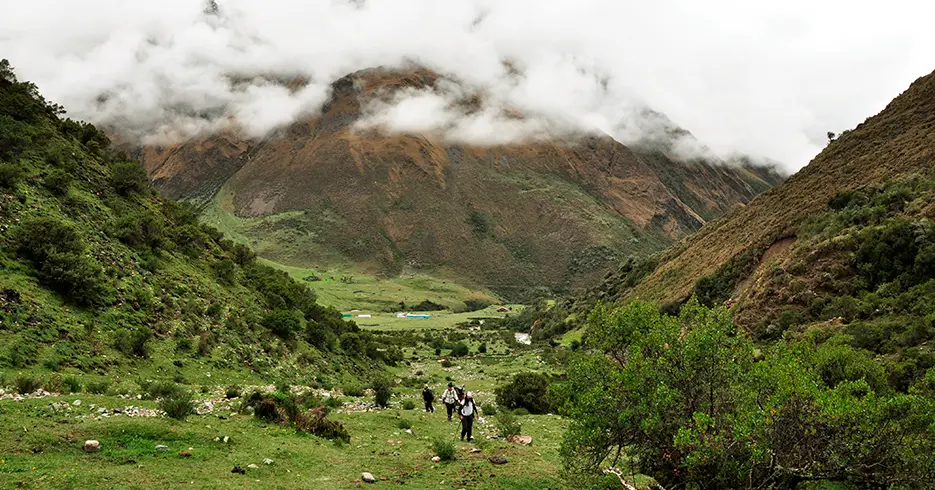 ¿Vas a la Laguna Humantay? Prepárate con estos tips 6 camino a la laguna humantay rodeado de vegetacion y hermosas vistas