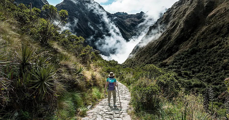 camino inca para llegar a machu picchu, mucha vegetacion verde y camino empedrado