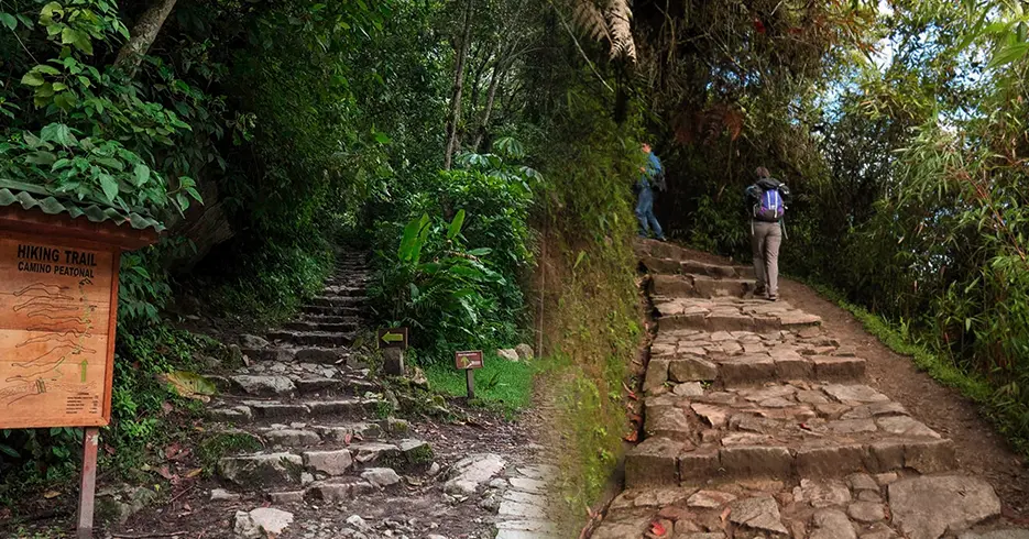 como subir a machu picchu, camino inca de subida a machu picchu