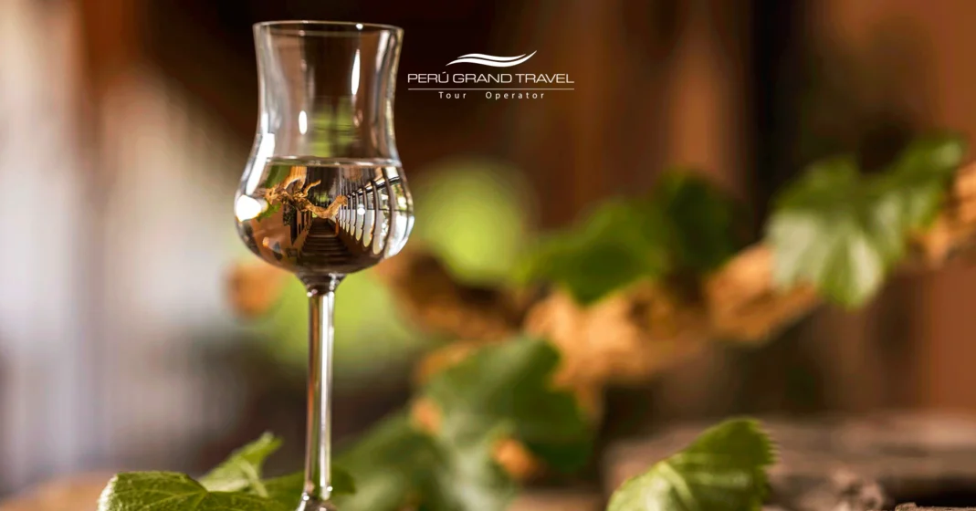 copa de pisco, donde comprar pisco peruano, pisco puro peruano, viñedos de pisco en peru
