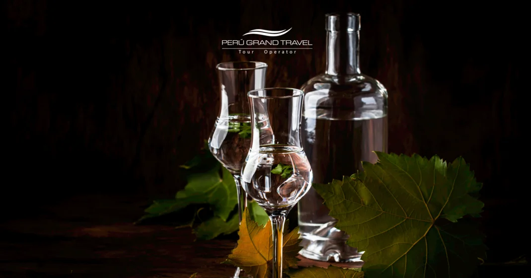copa de pisco, donde comprar pisco peruano, pisco puro peruano, viñedos de pisco en peru 2