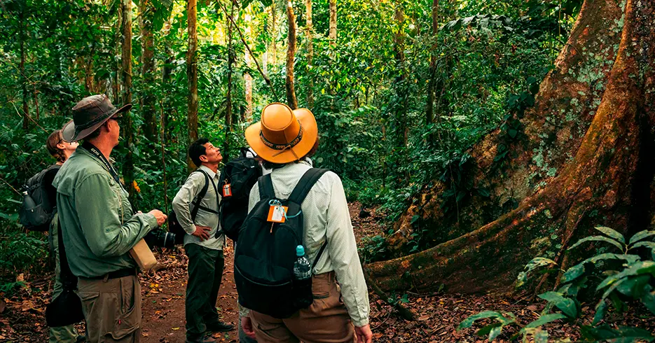 explicacion en la selva peruana