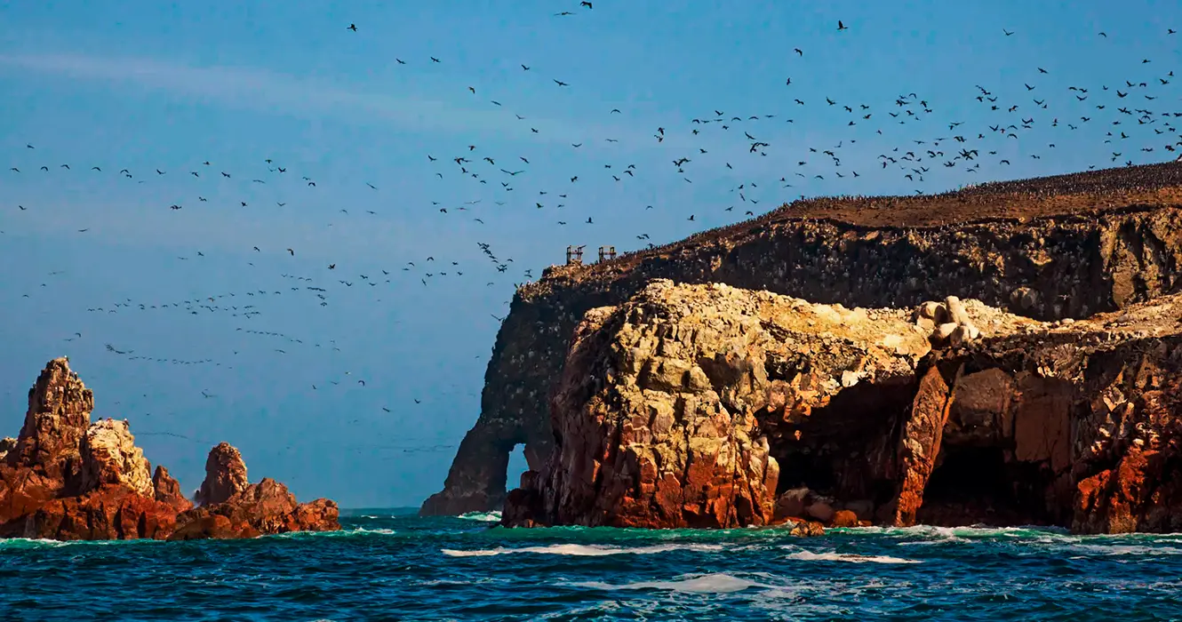 reserva nacional de paracas y las islas ballestas peru