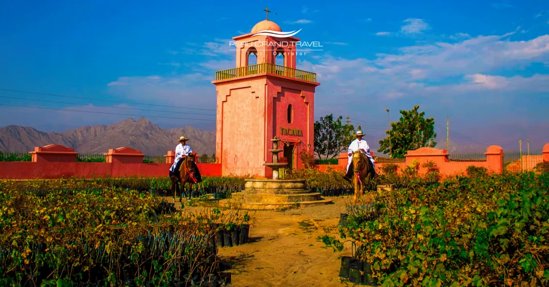 la ruta del pisco