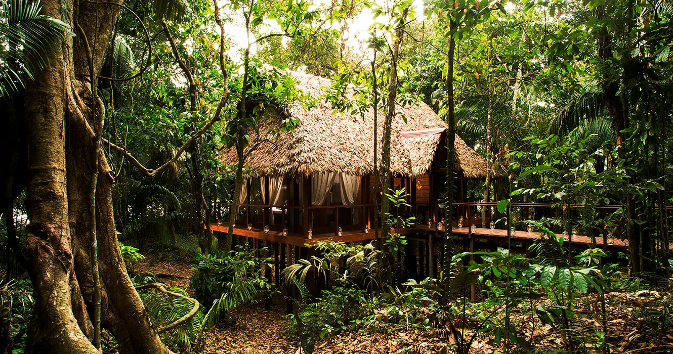 los mejores hoteles de la reserva nacional de tambopata
