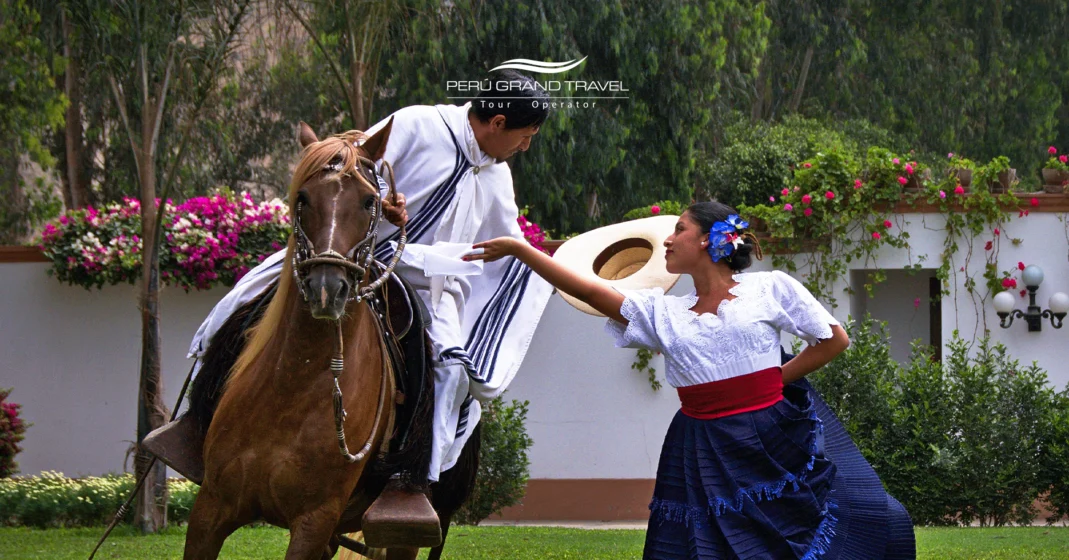 marinera con caballo de paso peruano, danza peruana, danza del norte peruano, que hacer en peru trujillo, que cosas hacer en trujillo