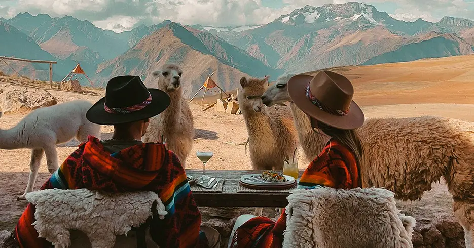 vista de las llamas y las montañas de los andes en el mountain view, hoteles en cusco