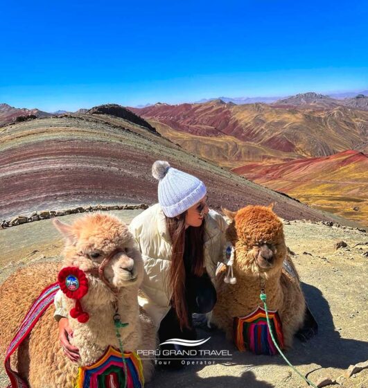 Turista con dos llamas en Palccoyo, una de las montañas de colores en Perú, con paisajes andinos al fondo