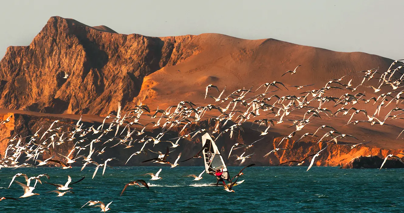 Qué Hacer en Paracas Perú: Experiencias que No Te Puedes Perder 11 Paisaje de paracas con pelicanos volando alrededor de una persona haciendo el deporte de Windsurfing