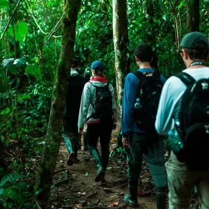 que llevar a la selva peruana
