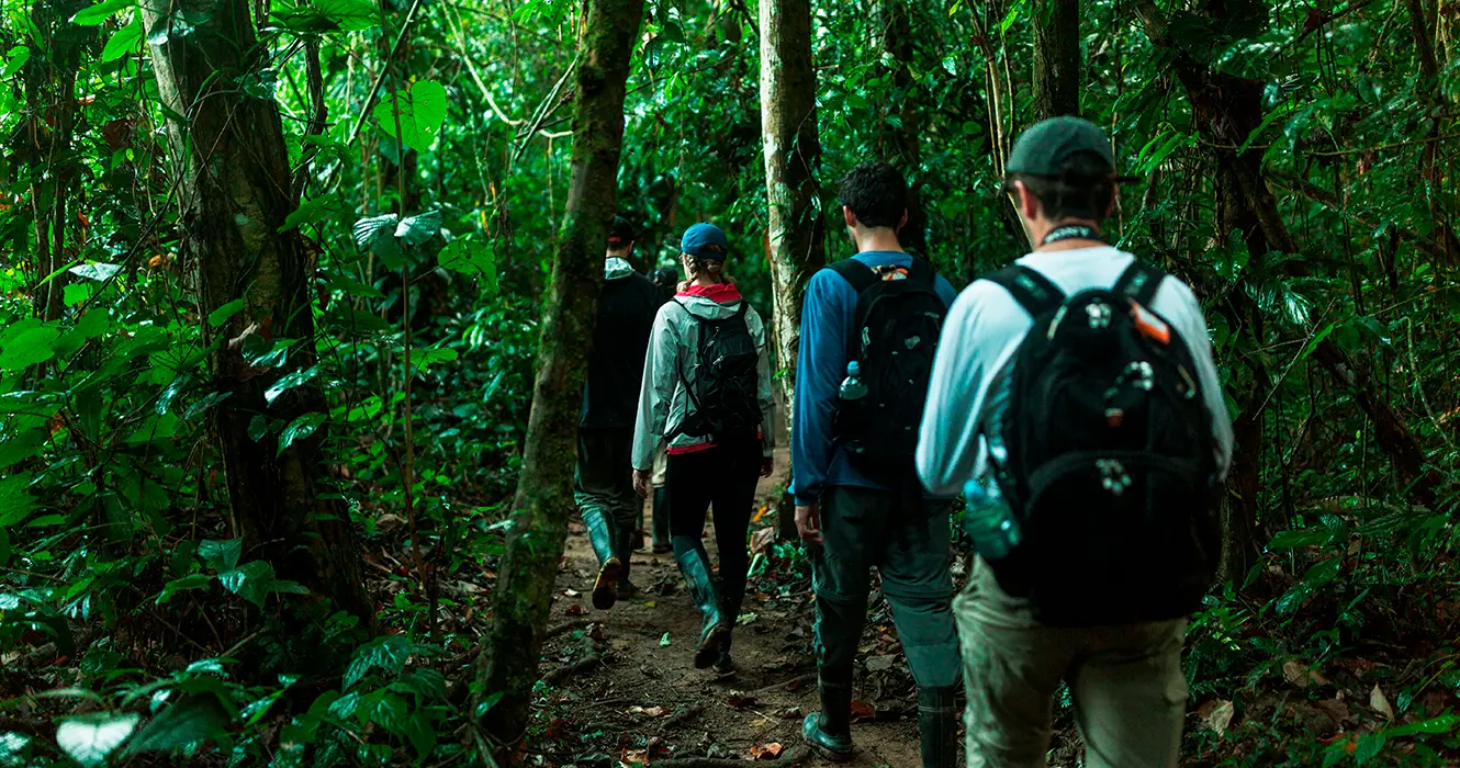 Que llevar a la selva peruana, paseos en la selva con los equipos correctos