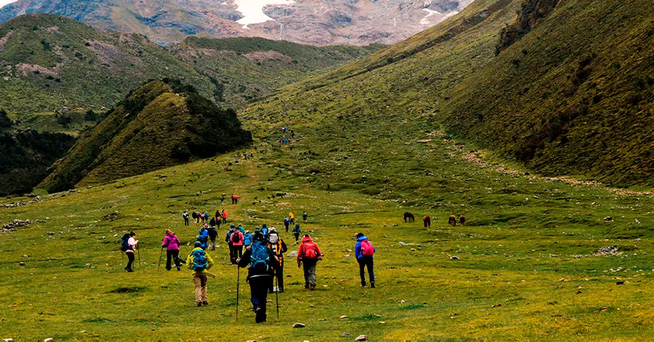 subida a la laguna humantay, con hermosas vistas y mucha vegetacion
