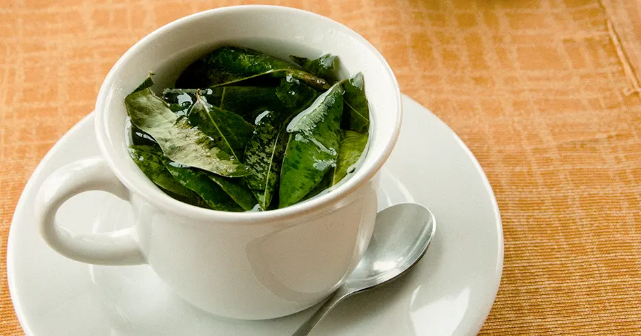 te de coca, bebida tipica para un viaje a los andes