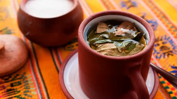 te de coca, en una taza de color rojo con vista de las hojas de coca