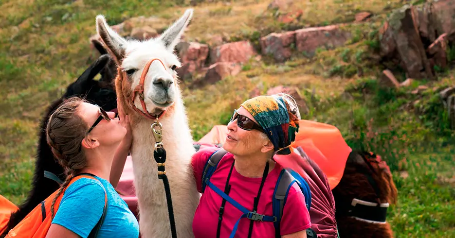 Animales del Perú que Podrás Conocer en Tu Próximo Viaje 9 turistas con los animales del peru