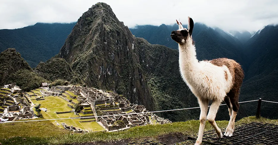 Qué ver en Cusco y alrededores: Los 15 destinos imprescindibles para tu viaje 1 vista de machu picchu clasica, con una llama