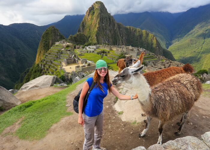 machu picchu express 3d