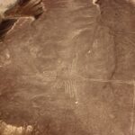 paquete lineas de nazca